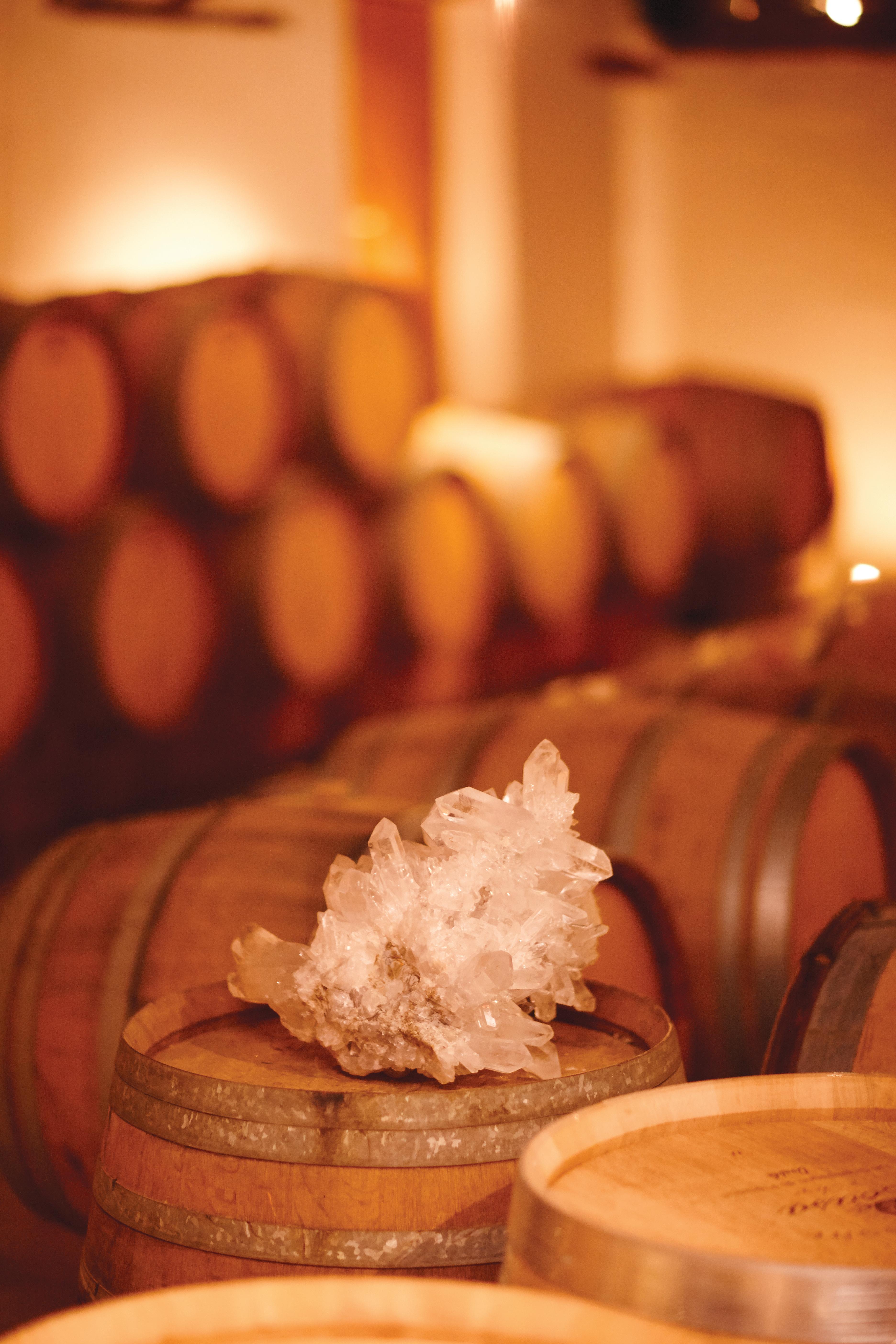 走進香檳世界新時代︱終結篇 - WineNow HK 專欄文章