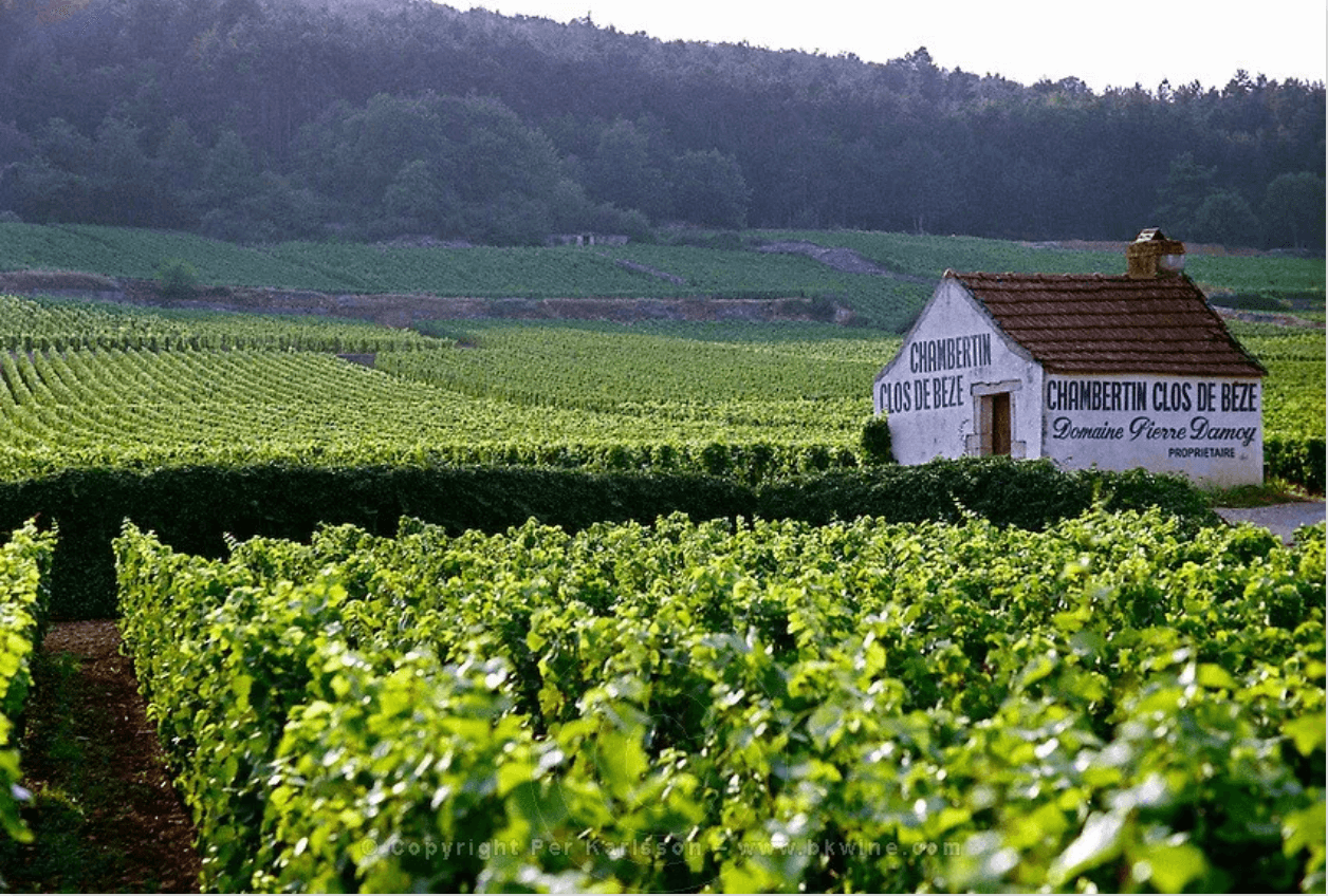 勃艮第最早出現的特級園是它？ - WineNow HK