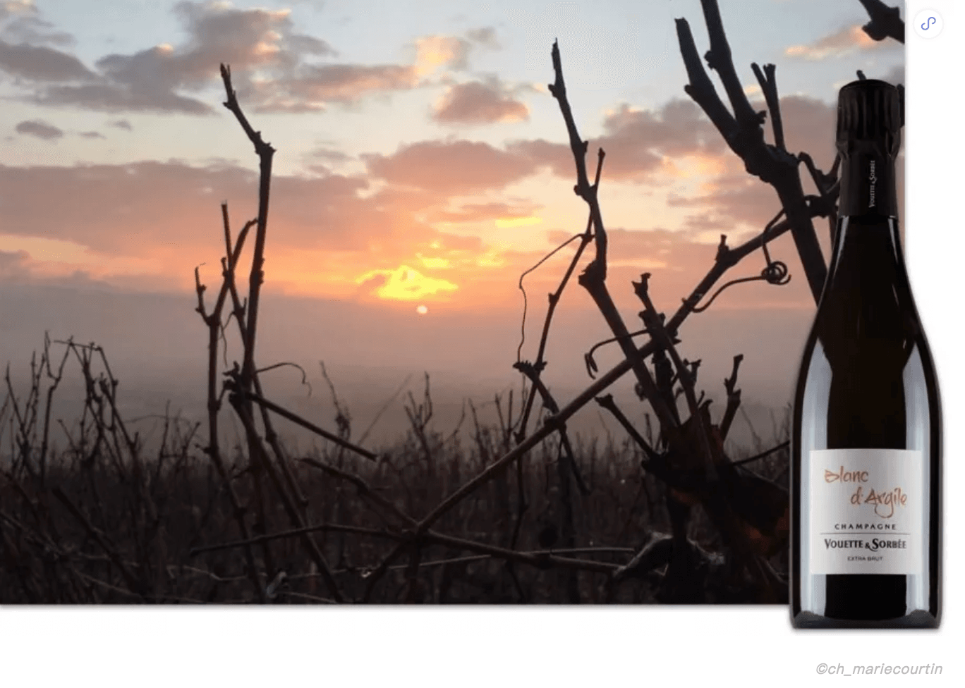 香檳區反叛者的崛起 – the Aube - WineNow HK