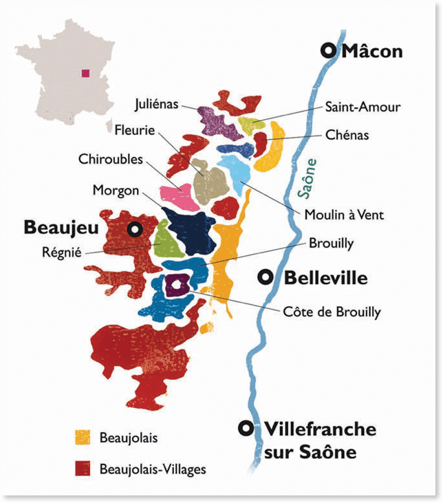 崛起的博若萊 - WineNow HK