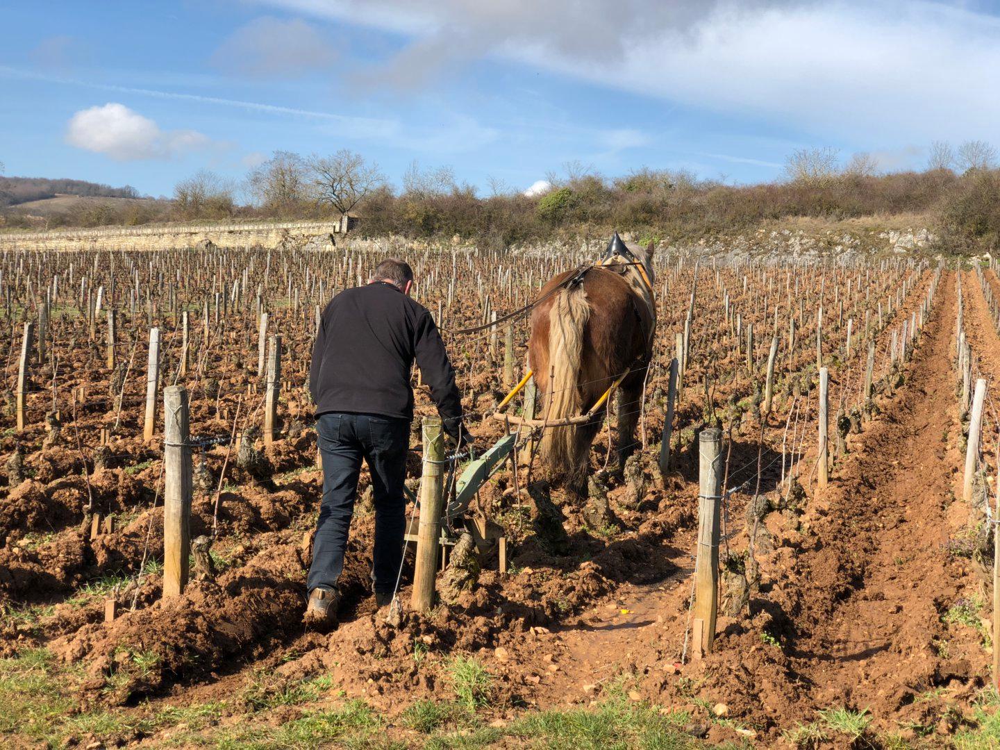 犁吾泥好？ - WineNow HK