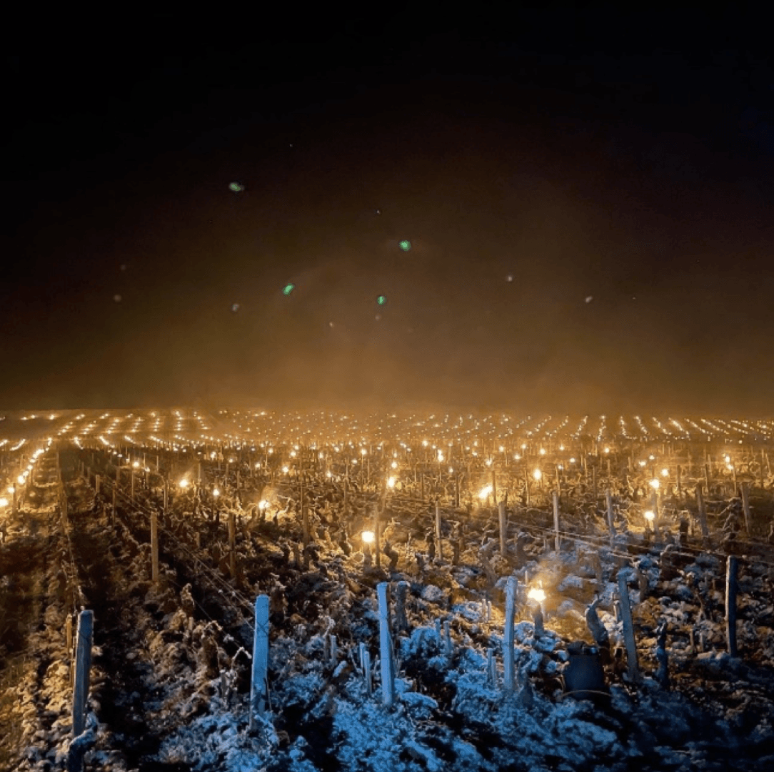 2021被點亮的法國產區 - WineNow HK